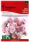Seme Lepa Kata Princes - roze - Callistephus chinensis 2277 - thumbnail 0