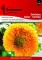 Seme za cveće - Suncokret niski žuti - Helianthus annuus 3702 - thumbnail 0