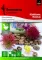 Seme - Ricinus - 1091 - thumbnail 0