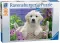 Ravensburger Puzzle 500 delova -  Slatki zlatni retriver 14829 - thumbnail 0