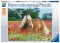 Ravensburger Puzzle 500 delova -  Konj u polju maka 14831 - thumbnail 0