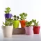 Crystal Plus saksija 14cm roze - thumbnail 0