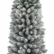 Novogodišnja jelka Everlands Pencil pine snowy 210cm - thumbnail 1