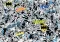 Ravensburger Puzzle Slagalica 1000 - Betmen izazov 16513 - thumbnail 1