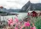 Ravensburger Puzzle Slagalica 1000 delova - Lofoten, Norveška 16740 - thumbnail 1