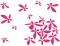 Zidni tatoo Flower Power U01B 120x90cm D72D6D - thumbnail 1