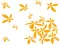 Zidni tatoo Flower Power U01B 120x90cm FFA600 - thumbnail 1