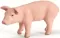 Schleich Domaće životinje - Prase, stoji 13289 - thumbnail 1
