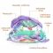 Disney Baby Aktiviti gimnastika za bebe Mala sirena 12534 - thumbnail 1