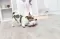 Trixie Igračka za psa Buldog od lateksa sa zvukom 14cm 35517 - thumbnail 1