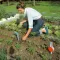Gardena klin za sađenje - sadiljka GA 03487-20 - thumbnail 1