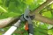 Gardena makaze za grane 680B GA 08775-20 - thumbnail 1