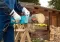 Gardena električna testera CST 3519X GA 08862-20 - thumbnail 1