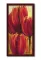 Tulips - 50x100 E3EP - thumbnail 1