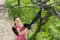 Makaze za grane Fiskars 111620 012791 - thumbnail 1