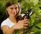 Voćarske makaze Fiskars 111260 38402 - thumbnail 1
