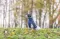 Džemper za psa Norwood blue vel S leđa 33cm Trixie 680085 - thumbnail 1