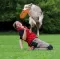 Frizbi za pse Trixie 33561 - thumbnail 1