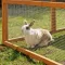 Galvanizovana metalna ograda 0.5x5m 172508 - thumbnail 1