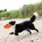 Igračka za pse Frizbi 18cm Trixie 33505 - thumbnail 1
