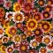 Baštensko cveće Gazanija - mešavina - Gazania splendens hyb. 3470 - thumbnail 1