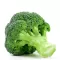 Povrće - seme - Brokoli Korvet F1- Brassica oleracea L. var. italica - 13 - thumbnail 1
