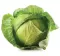 Povrće - seme - Kupus Varaždinski - Brassica oleracea var. capitata - 47 - thumbnail 1