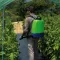 Leđna prskalica za biljke Di Martino UniQa 16 027814 - thumbnail 1