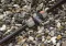 Gardena Ispusni ventil sprinkler 3/4  02760-20 - thumbnail 1
