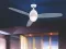 Globo Plafonski luster ventilator sa daljinskim upravljačem 0300 - thumbnail 1
