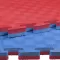 Tatami strunjača Dvostrana Puzzle 100x100x2 Ring RX 3019B - thumbnail 1