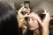Revlon Colorstay senka za oči 4 Addictive 500 - thumbnail 1