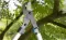 Gardena Makaze za grane EnergyStar 600B GA 12006-20 - thumbnail 1