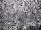 Ravensburger Puzzle 500 delova - Zebre slagalica izazov 14807 - thumbnail 1