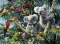 Ravensburger Puzzle 500 delova - Koale na drvetu 14826 - thumbnail 1