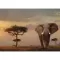 Ravensburger Slagalica 1000 delova - Priroda - Slon u Masai Mara Nacionalnom parku, Kenija 15159 - thumbnail 1