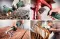 Bosch Texoro Brusilica za krive, profilisane i površine sa strukturom 06033B5100 - thumbnail 1