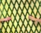 Merdevine Za Puzavice 0.5 x 1.5 m - thumbnail 1
