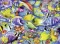 Ravensburger Puzzle 500 delova -  Ribe u tropskom saobraćaju 14796 - thumbnail 1