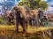 Puzzle 500 delova Slonovi Ravensburger 15040 - thumbnail 1