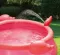 Dečiji bazen na naduvavanje Polygroup Flamingo Summer Waves Quick Set - thumbnail 1