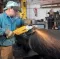 DeWalt ugaona brusilica DWE490 - thumbnail 1