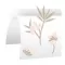 Beurer digitalna vaga GS27 Chinese Spring - thumbnail 1