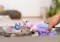 Schleich Bayala figurice Aksolotl - vodeni zmajevi 42628 - thumbnail 2