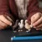 Schleich figure Domaće životinje - Kokoške 42574 - thumbnail 2