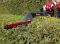Einhell Električni trimer za živu ogradu GC-EH 6055/1 - thumbnail 2