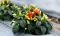 Ukrasna paprika - seme - Capsicum annuum 2583 - thumbnail 2