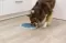 Trixie Posuda za halapljive pse 23cm Slow Feed 25039 - thumbnail 2