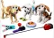 LEGO® Creator Kocke 3u1 Neodoljivi psi 31137 - thumbnail 2
