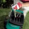 Bosch Električna drobilica Seckalica za grane AXT Rapid 2000 0600853500 - thumbnail 2